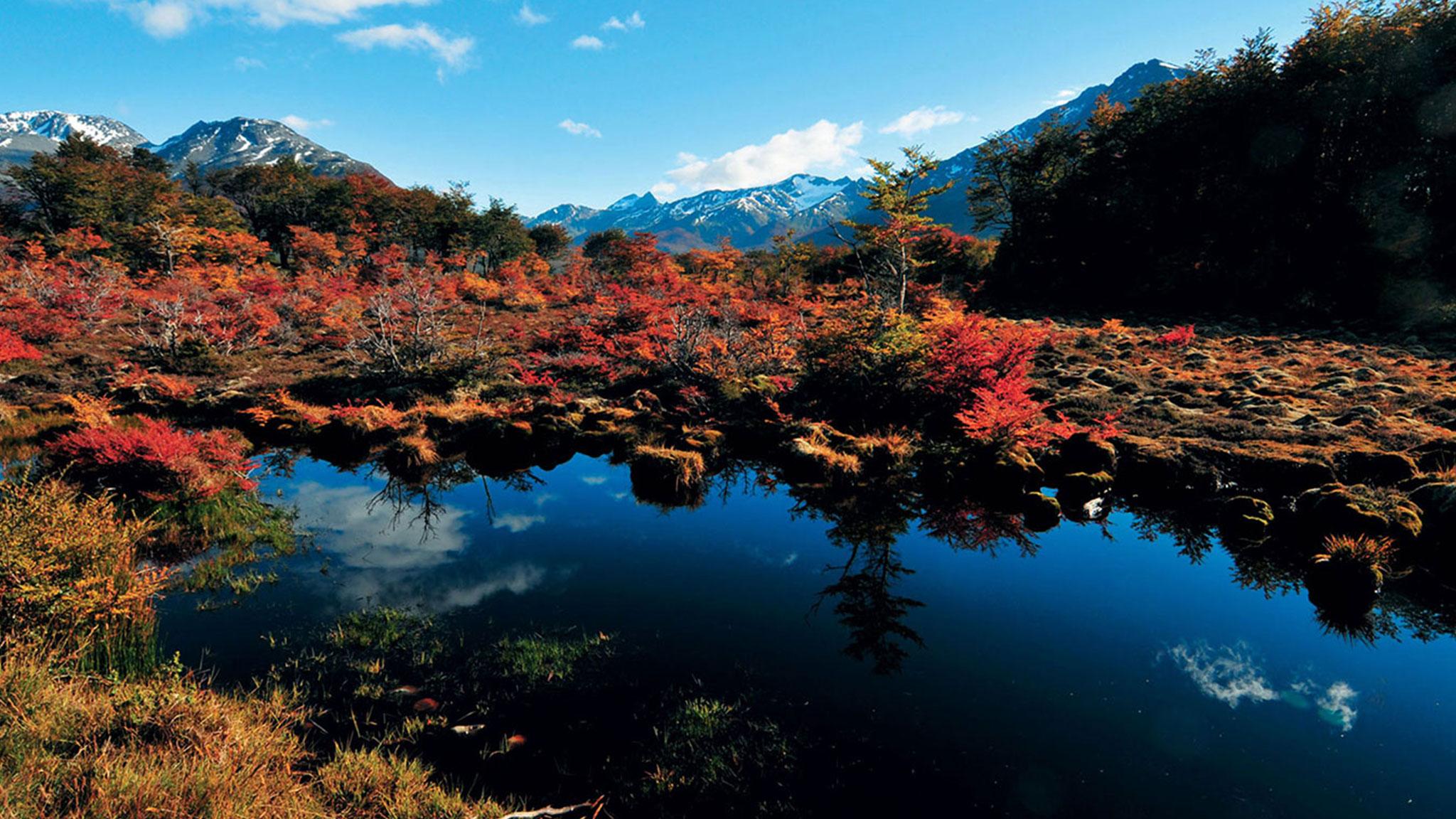 Arakur Ushuaia Resort & Spa Luaran gambar Autumn colours at the Ozegahara